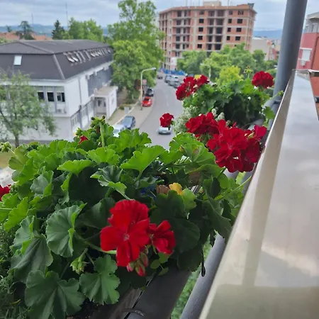 Отель Garni Ema 4*