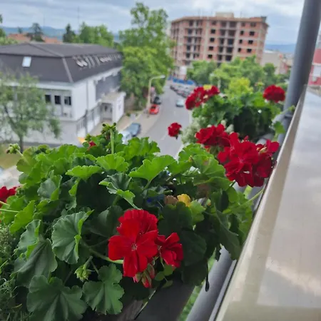 فندق Garni Ema كراغوييفاك